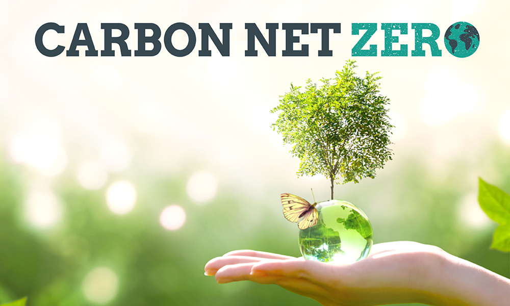 How we are supporting the Greener NHS programme CCS