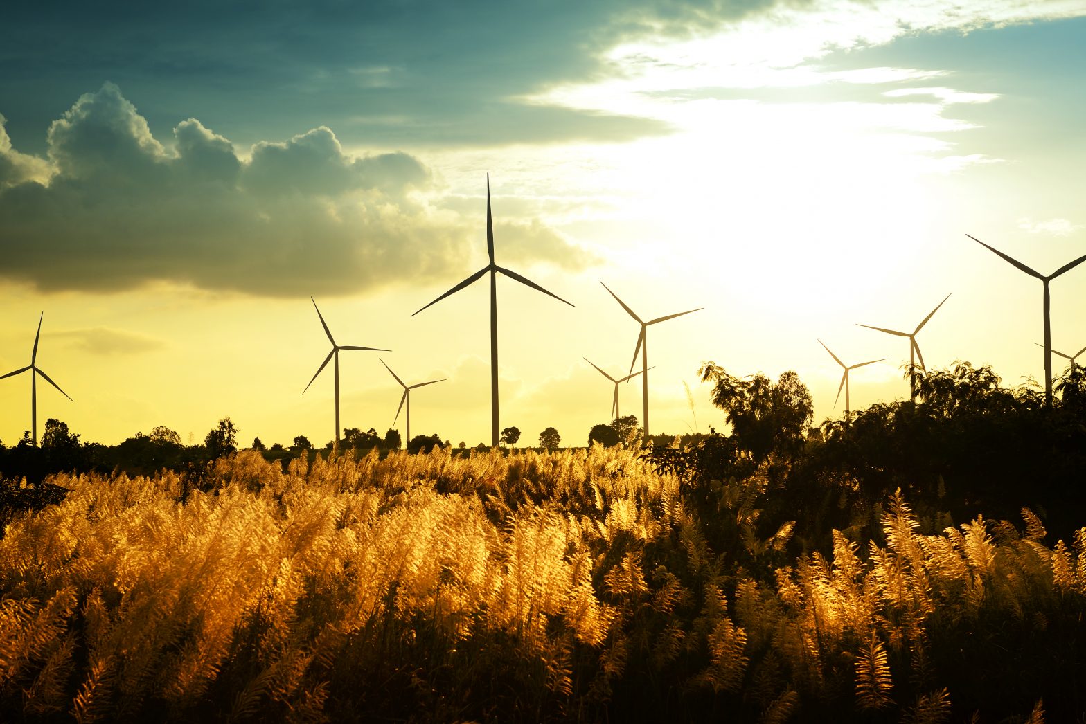 Image of wind turbines in a field