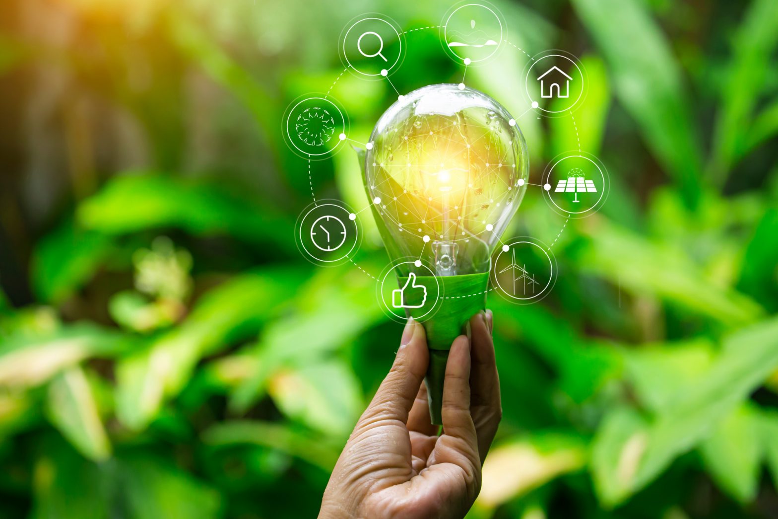 Hand holding lightbulb sustainability