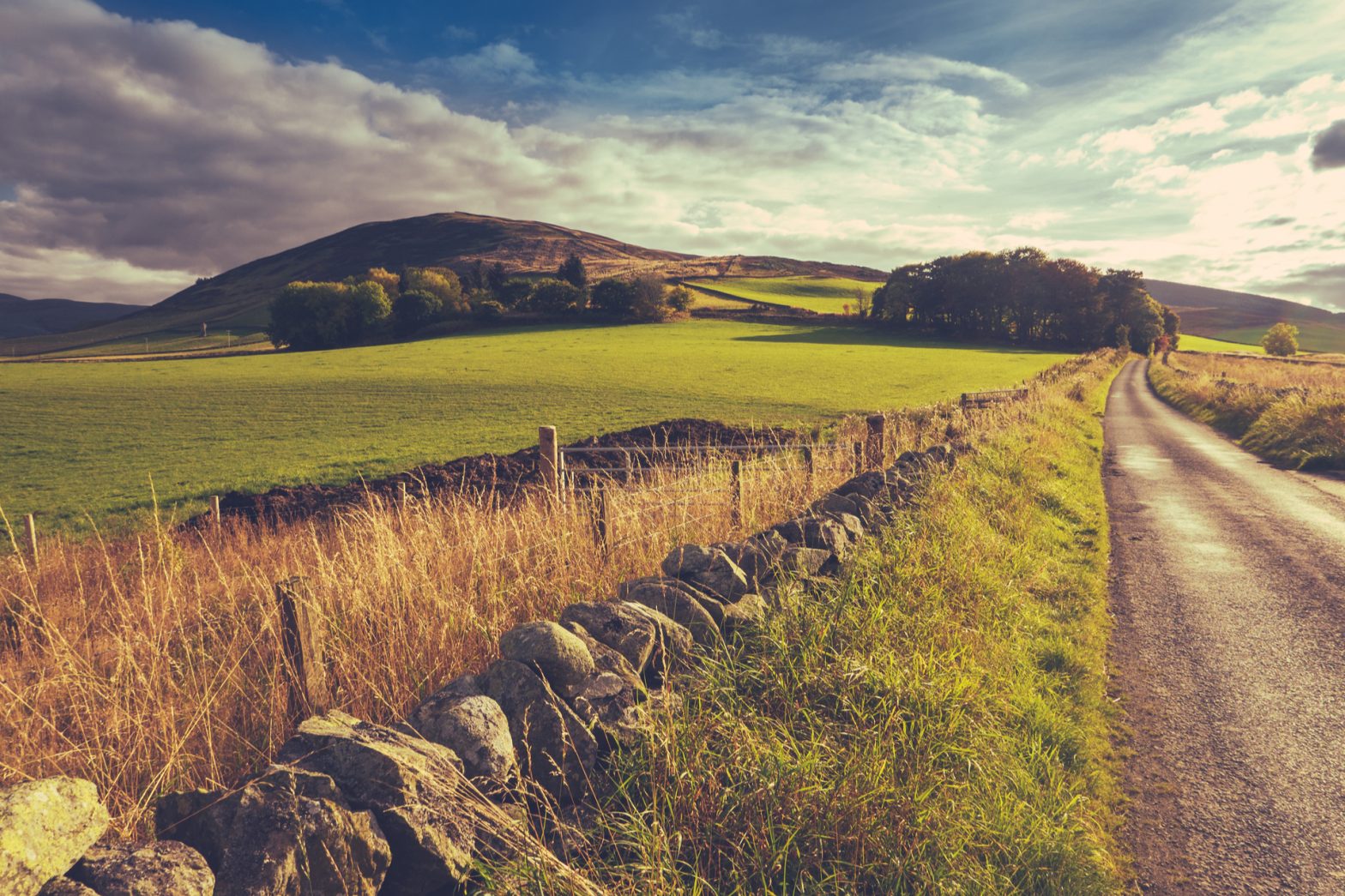 rural landscape