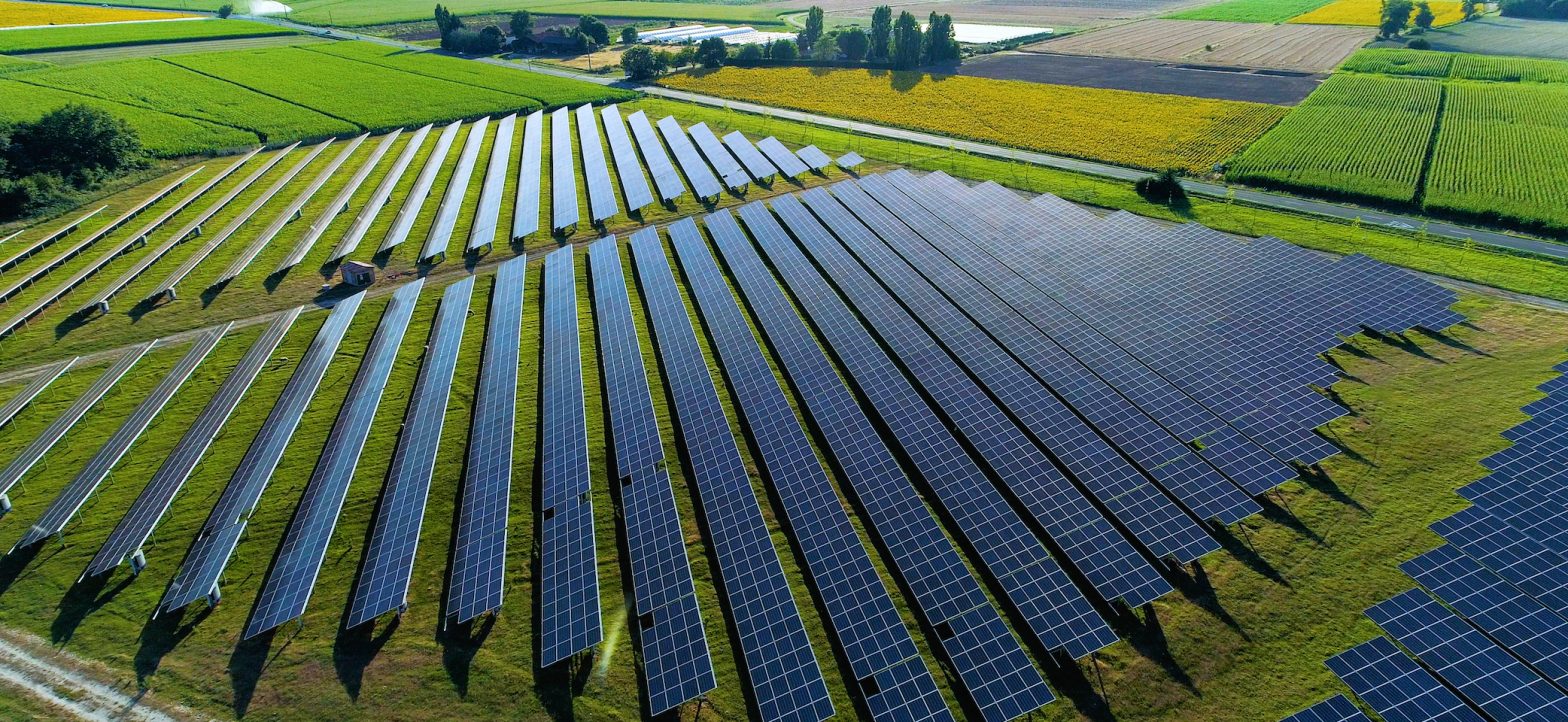 A birds eye view showing rows of solar panels in a UK field, a source of renewable energy.